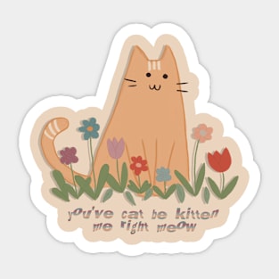 funny cat Sticker